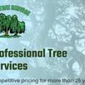 Tree Trimming Services For Overgrown And Unsafe Branches &ndash; Call Now!