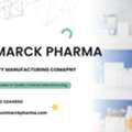 WHO GMP Certified Third Party Pharma Manufacturer