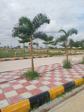 Hyderabad, Residential Plots, INR 16999,  160 Sq. Yard,  Hmda & Rera Aproved Open Villa Plots For Sale At Pulimamidi Road