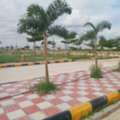 INR 16999,  160 Sq. Yard,  Hmda & Rera Aproved Open Villa Plots For Sale At Pulimamidi Road