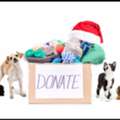 Discover The Best Charities To Donate To In Pahrump