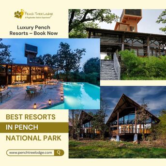 Bhopal, Travel, Best Pench National Park Resorts For Family And Couples