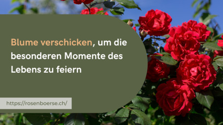 Geneva, Farm & Garden, Blume Verschicken, Um Die Besonderen Momente Des Lebens Zu Feiern