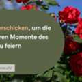 Blume Verschicken, Um Die Besonderen Momente Des Lebens Zu Feiern