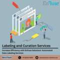 Increase Efficiency With EnFuse Solutions&rsquo; Automated Data Labeling Services