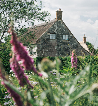 London, Farm/Garden, Thornfalcon Winery & Press