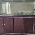BHD 40, Fish Tank 2 Meter For Sale