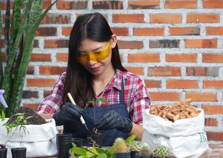 Mumbai, Education, BSc Hons Agriculture Course Details, Admission And Scope In Gurugram