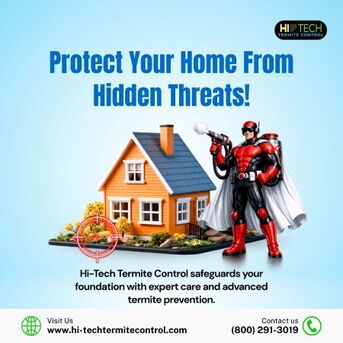 New York, Pest Control, Protect Your Home From Hidden Threats!