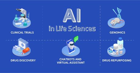 Paris, Software Development, Life Science Product Development Consulting Services | Brillio