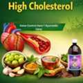 INR 660,  High Cholesterol Kaise Control Kare | Ayurvedic Upay