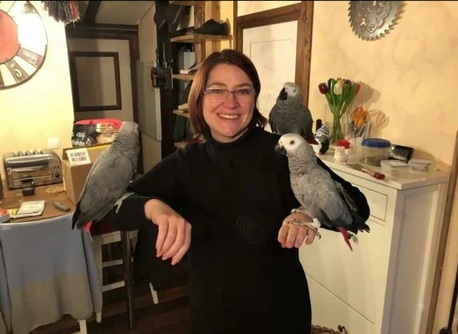 Geneva, Pet Supplies, CHF 320,  I