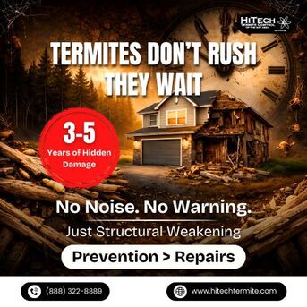 New York, Pest Control, Termites Dont Rush They Wait