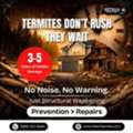 Termites Dont Rush They Wait