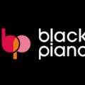 Hire SEO Expert And Boost Your Rankings - Black Piano