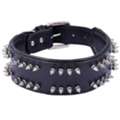 INR 849,  Heavy-Duty Spike Dog Collar