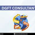 Get Experts Help For DGFT Consultant | Exim Advisory