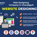 Web Designing Company In Chandigarh - Duke Infosys
