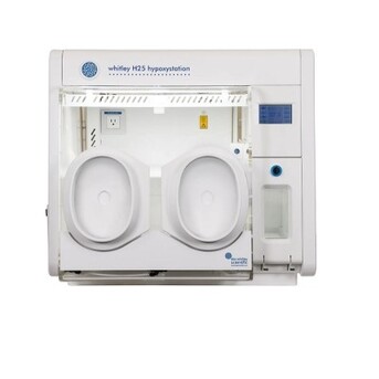 New Delhi, Health & Beauty Items, Precision Hypoxic Workstation In India | Lab Technologies