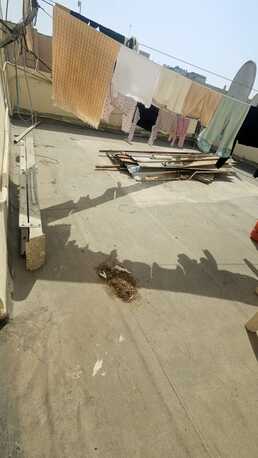 Gudaibiya, Apartments/Houses, BHD 155/month,  1 BR,  1 Bedroom Unfurnished Flat For Rent With Ewa