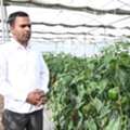 Shriram DripIT Vegetable Crop Nutrition For Faster Growth And Yield