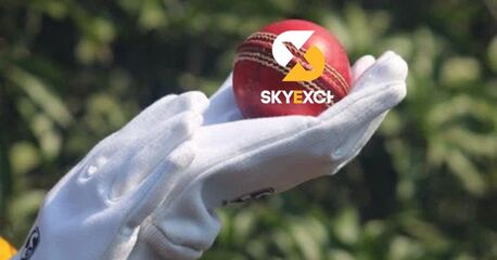 Gurgaon, Job Seekers, Sky Exchange: A Modern Gaming Platform Built For Speed, Trust, And Smooth Play