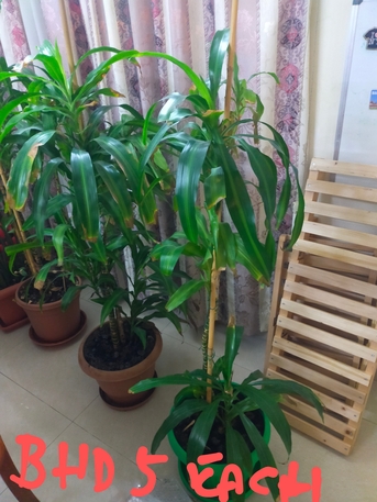 Adliya, Household Items, BHD 100,  Urgent Sale Household Items