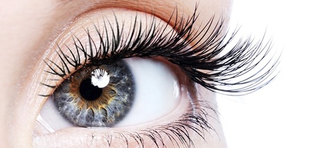 London, Business, LAB Academy