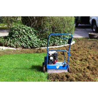 New York, Business, Fertilization Programs Colorado