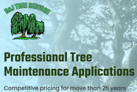 New York, Farm/Garden, Remove Unsafe Trees Today With R&J Tree Service