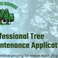 Remove Unsafe Trees Today With R&J Tree Service