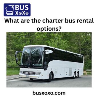 New York, Travel, What Are The Charter Bus Rental Options?