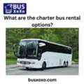 What Are The Charter Bus Rental Options?