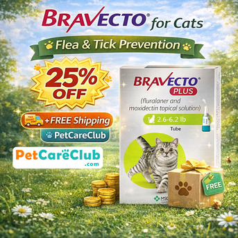 New York, Pet Supplies, USD 35,  25% Off Bravecto Plus For Cats + Free Shipping | PetCareClub