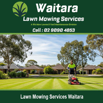 Sydney, Business, Waitara Lawn Mowing Services
