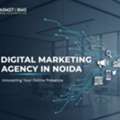 Growth Starts Here With A Digital Marketing Agency In Noida