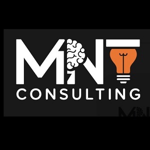 Paris, Business Partners, MNT CONSULTING