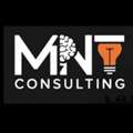 MNT CONSULTING