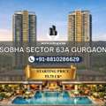 INR 77500000/year,  Studio,  1700 Sq. Feet,  Sobha Sector 63A Premium Luxury Apartments Builder Gurgaon