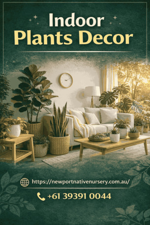 Sydney, Farm/Garden, Best Indoor Plants Decor : Newport Lakes Native Nursery