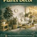 Best Indoor Plants Decor : Newport Lakes Native Nursery