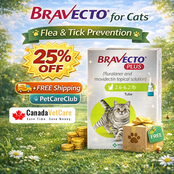 New York, Pet Supplies, USD 35,  Bravecto Plus For Cats | 25% Off + Free Shipping | CanadaVetCare