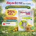 USD 35,  Bravecto Plus For Cats | 25% Off + Free Shipping | CanadaVetCare
