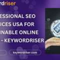 Professional SEO Services USA For Sustainable Online Growth - Keywordriser