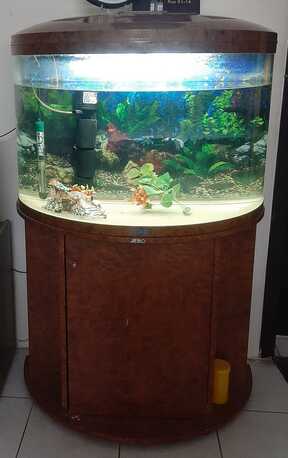 Manama, Appliances, BHD 27,  Aquarium For Sale