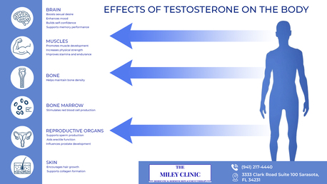 Houston, Health, Testosterone Replacement Therapy For Men | Safe TRT Clinics In Sarasota, FL