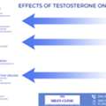 Testosterone Replacement Therapy For Men | Safe TRT Clinics In Sarasota, FL