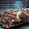 AED 375,  Buy Red King Crab Raw Sections (Frozen) &ndash; Premium Seafood UAE