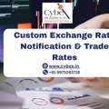 Custom Exchange Rate Notification & Trade Rates