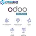 Trusted Odoo Silver Partner Company